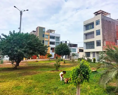 urbanización Las Palmas II